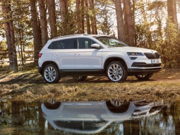 Een compacte Skoda Karoq SUV geparkeerd op gras vlakbij water.