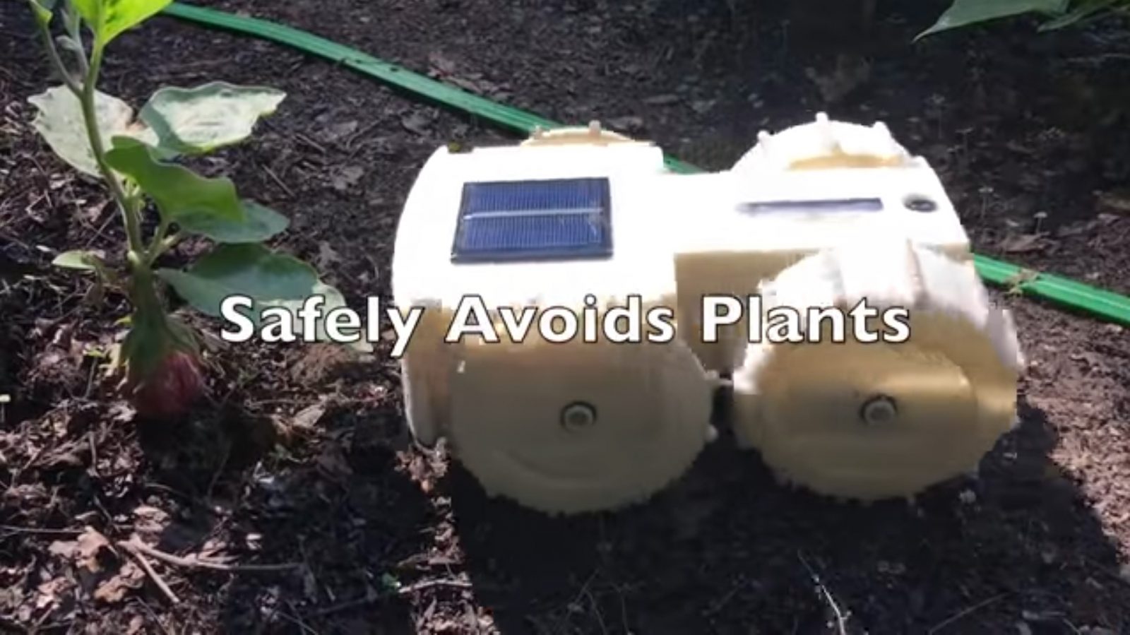 Een robot in de tuin met de woorden veilig planten vermijden en onkruid.