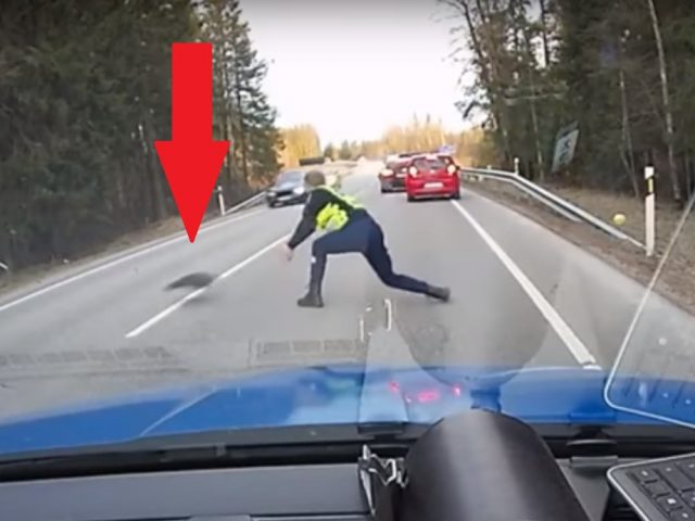 Video - boeven vangen doe je zo