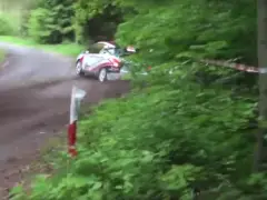 Een video van een auto die van het jaar door een bocht rijdt op een onverharde weg in het bos.
