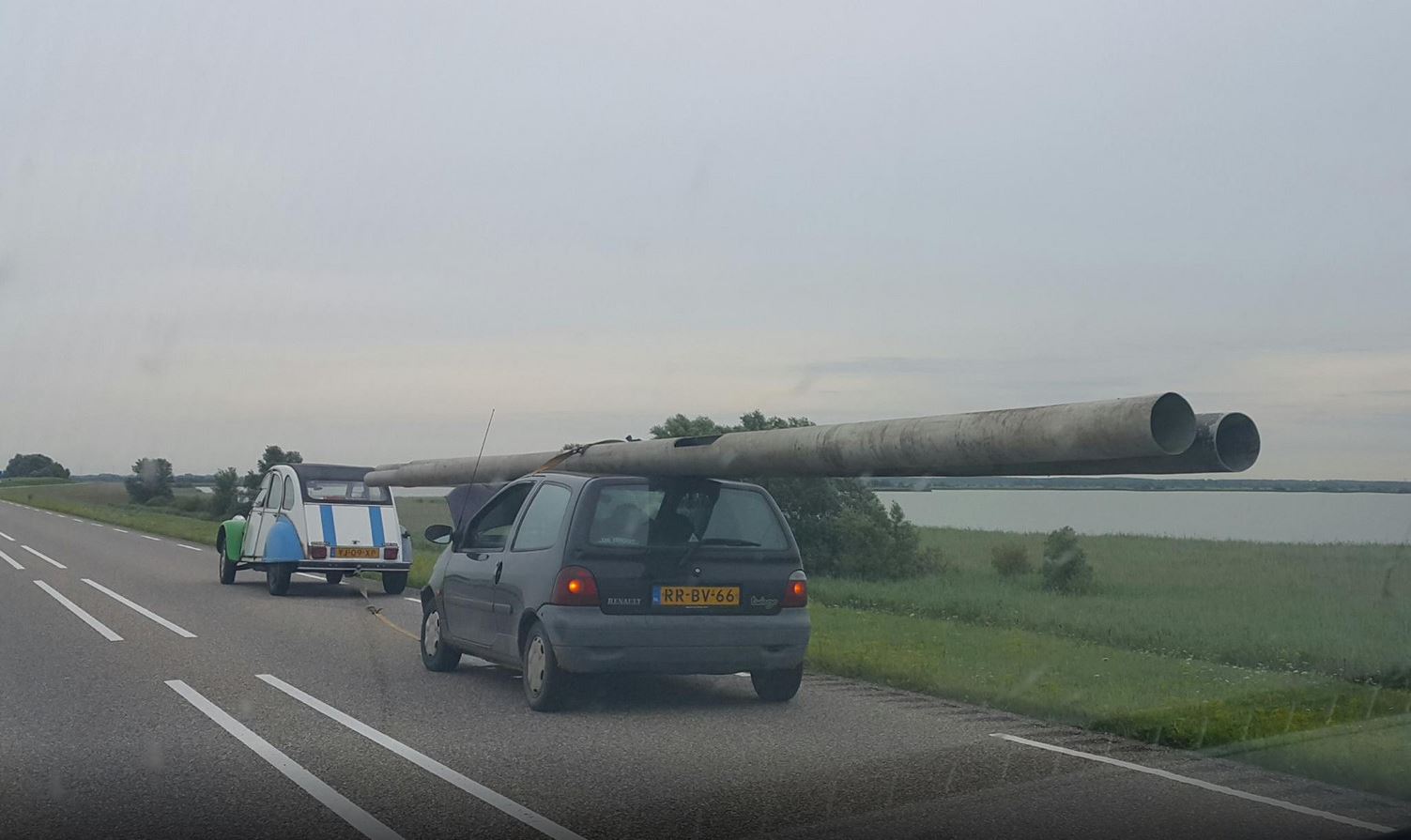 eend redt lantaarnpaalboef