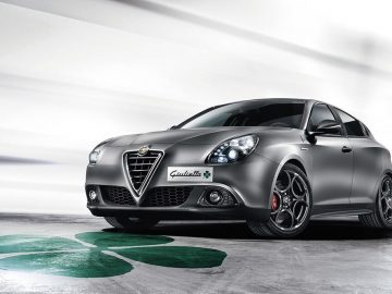 Alfa-QV-1.jpg