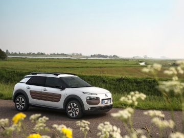 Citroen-C4_Cactus_2015_1280x960_wallpaper_01