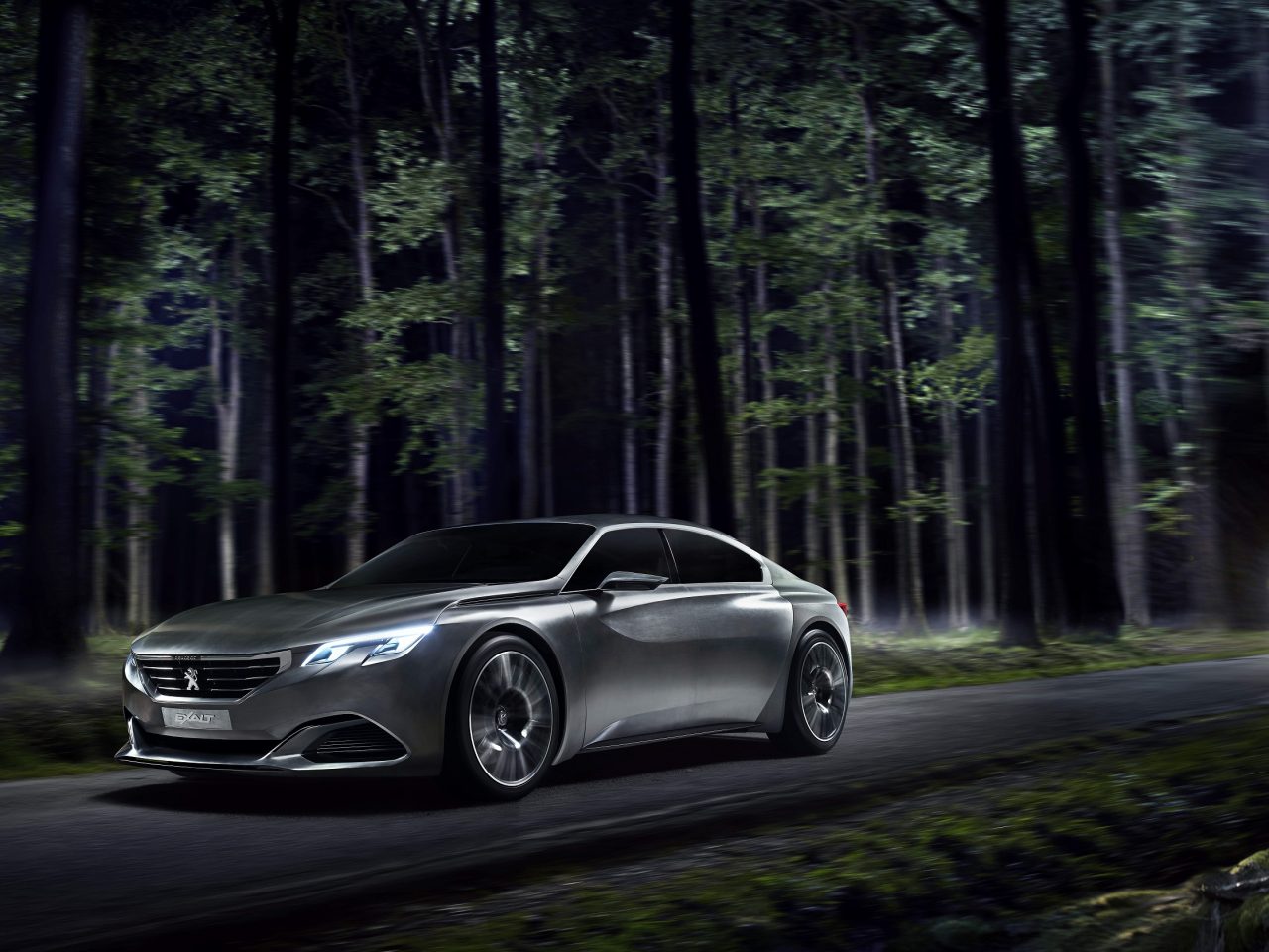 PEUGEOT_EXALT_1408PC001_jpg-kleiner1