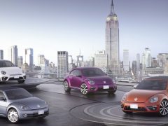 beetle-concepts-newyork