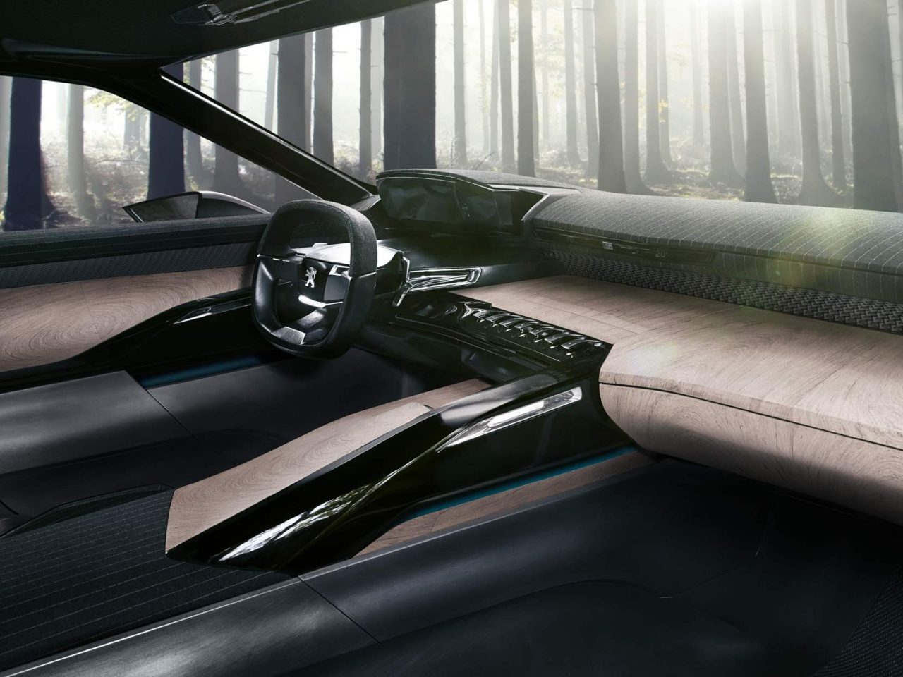 Nederlands NewspaperWood in Peugeot Exalt