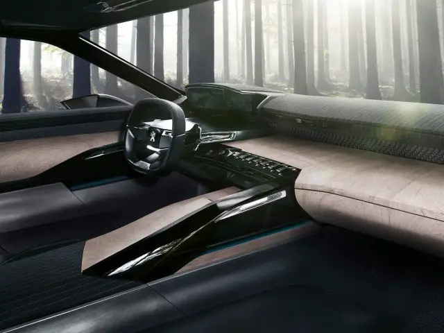 Nederlands NewspaperWood in Peugeot Exalt