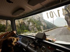 Een man bestuurt een vrachtwagen in Frankrijk met een hond op de achterbank.