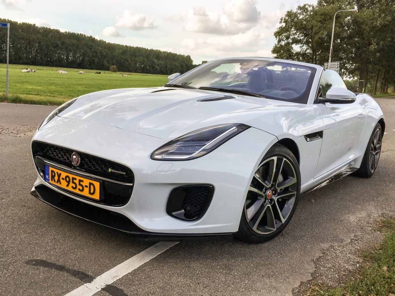 Jaguar F-Type Convertible 2.0 i4 viercilinder 2018