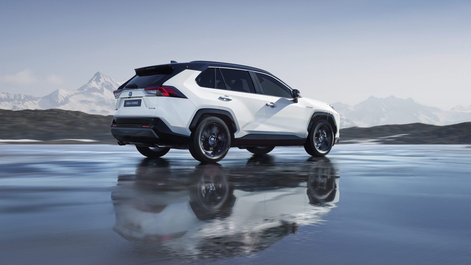 Toyota rav4 2019