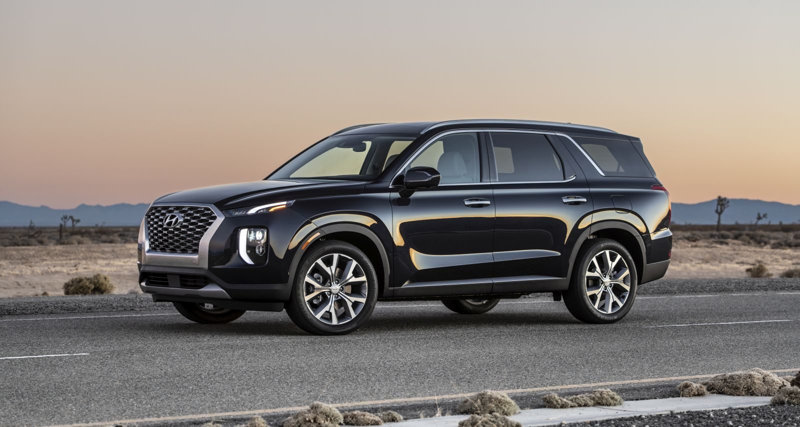 De Hyundai Palissade 2020.