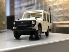 AutoRAI in Miniatuur: Peugeot P4 Solido