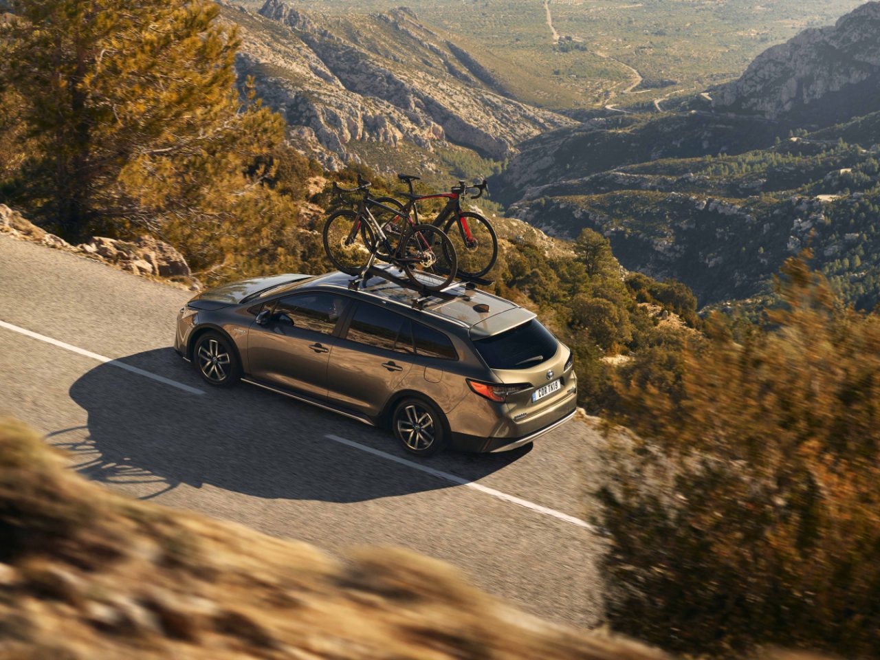 Toyota Corolla TREK 2019