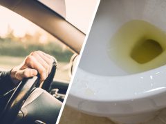 Een man bestuurt een auto met een wc-bril op de achterbank.