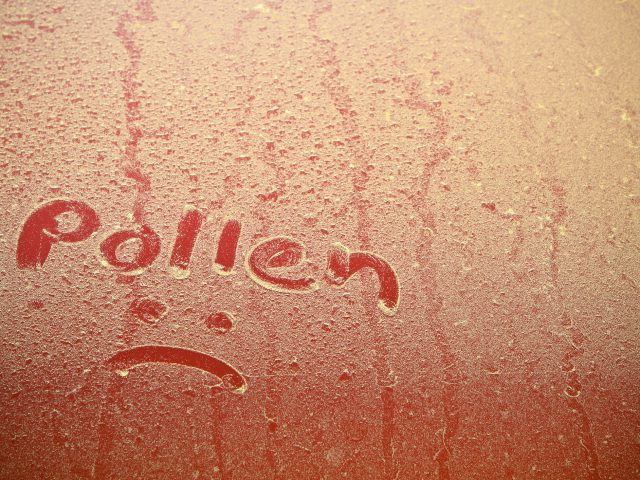Een autovoorruit met een droevig gezicht erop geschreven vanwege hooikoorts.