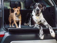 Twee honden sterven in de kofferbak van een Land Rover.