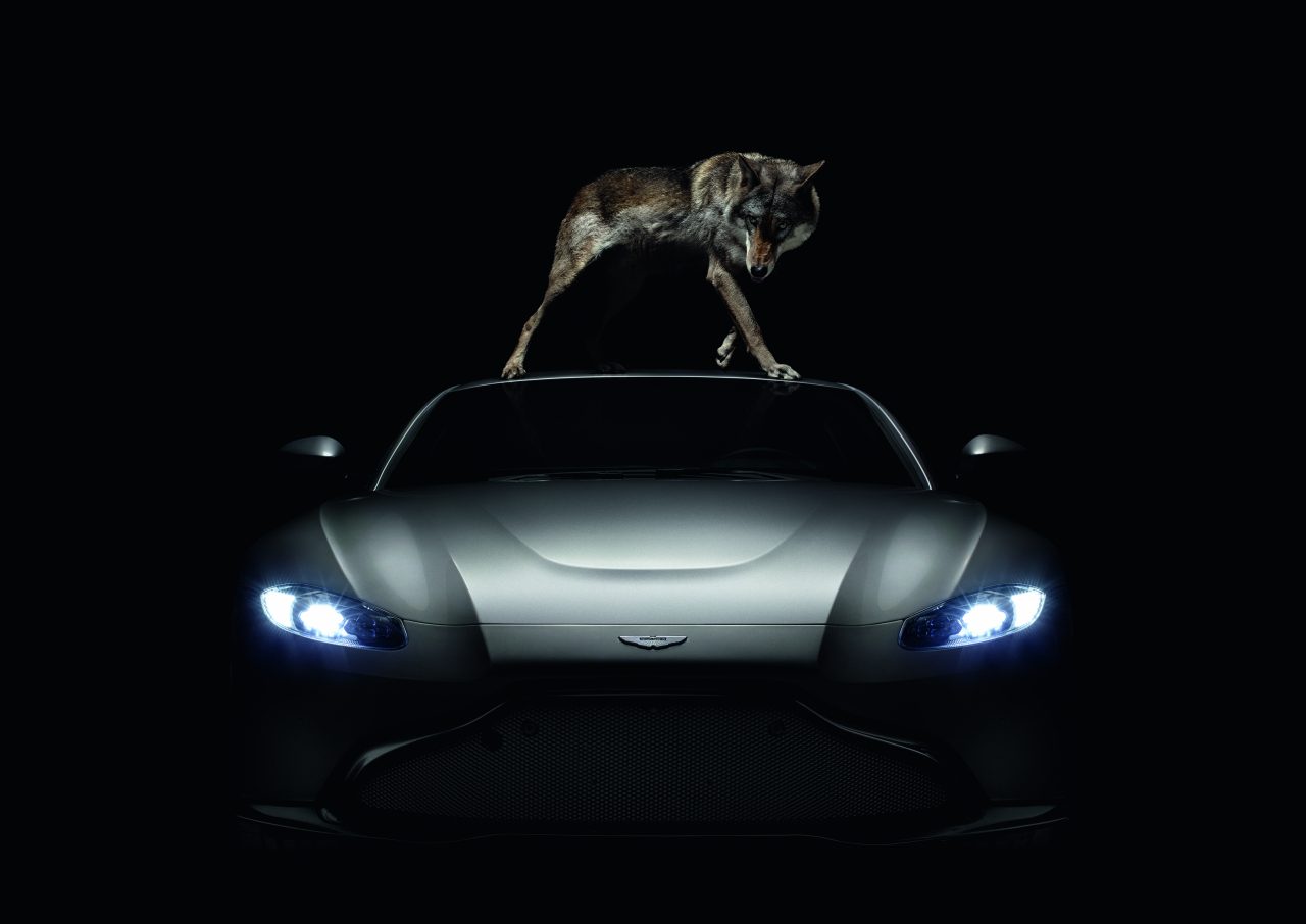 Een hond staat bovenop een zwarte Aston Martin-sportwagen.