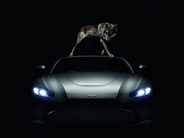Een hond staat bovenop een zwarte Aston Martin-sportwagen.