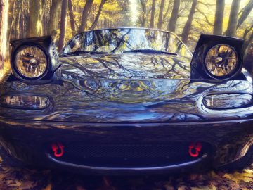 Een zwarte benzinesportwagen geparkeerd in het bos.