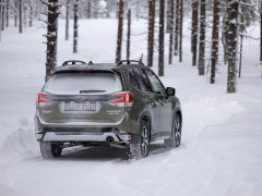 Subaru Forester rijdt door een besneeuwd boslandschap.