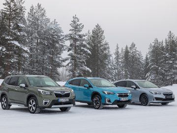 Drie Subaru Foresters geparkeerd in de sneeuw met op de achtergrond pijnbomen.