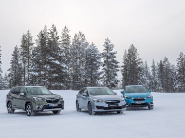 Drie Subaru Forester-auto's geparkeerd op een besneeuwd landschap met pijnbomen op de achtergrond.