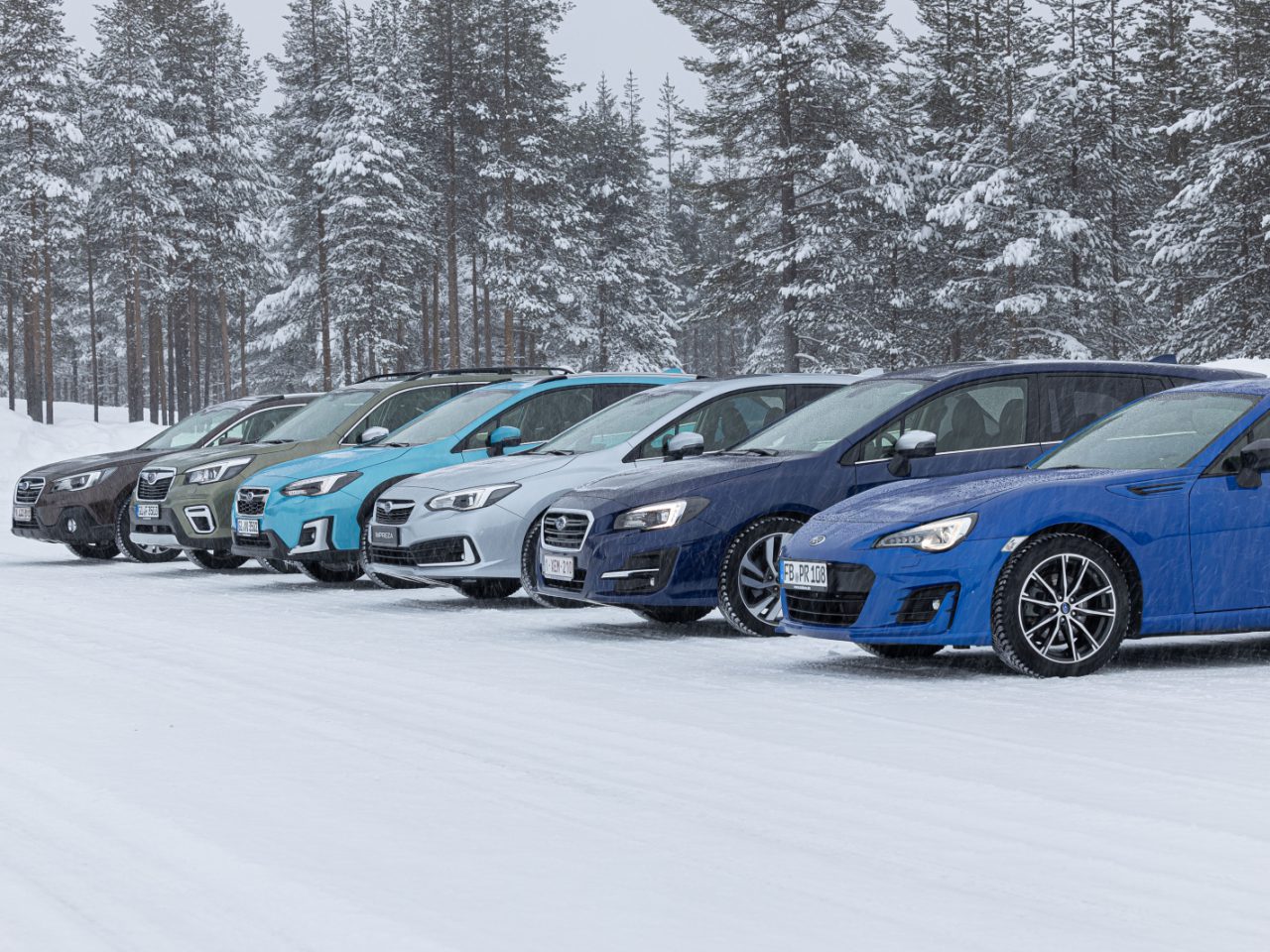 Een opstelling van verschillende auto's, waaronder een Subaru Forester, geparkeerd op een besneeuwde weg met op de achtergrond pijnbomen tijdens een sneeuwval.