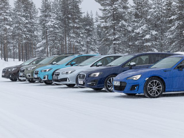 Een opstelling van verschillende auto's, waaronder een Subaru Forester, geparkeerd op een besneeuwde weg met op de achtergrond pijnbomen tijdens een sneeuwval.
