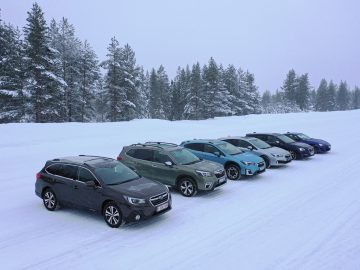 Een rij Subaru Forester-auto's geparkeerd op een met sneeuw bedekt terrein met groenblijvende bomen op de achtergrond tijdens een sneeuwval.