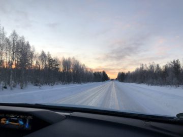 Winterzonsopgang boven een besneeuwde weg met aan weerszijden een Subaru Forester tussen de bomen.