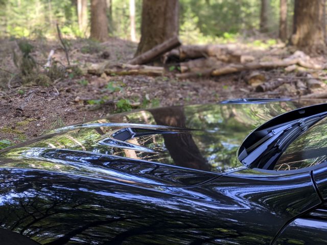 Een Maserati Levante Trofeo met een opvallend logo geparkeerd in een bosrijke omgeving.