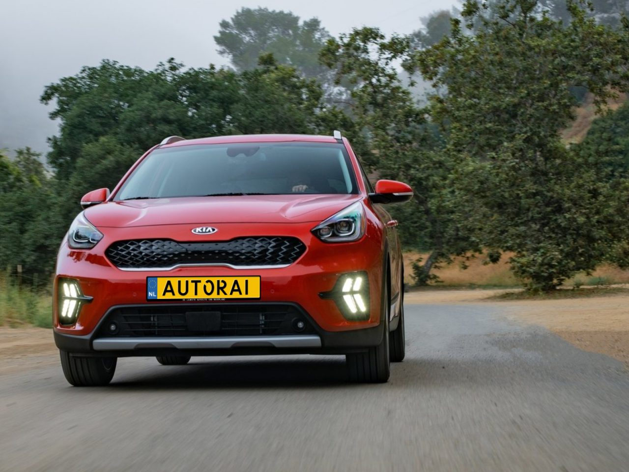 Een rode Kia-auto rijdt op een mistige, met bomen omzoomde weg, waarbij de koplampen en het ontwerp van de voorkant goed tot hun recht komen.