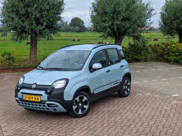 Een Fiat Panda geparkeerd op een stenen oprit, met een grasveld en koeien op de achtergrond onder een bewolkte hemel.