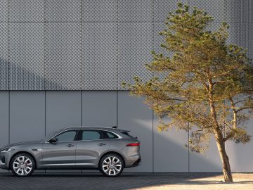 Een moderne Jaguar F-Pace geparkeerd naast een groene boom tegen een grote grijze muur met textuur in fel zonlicht.