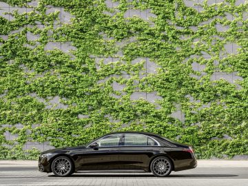 Een zwarte Mercedes-Benz S-Klasse geparkeerd voor een grote muur bedekt met weelderige groene klimop.