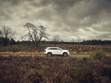 Een witte Kia Sorento Hybrid geparkeerd langs een weg door een humeurig, dor landschap met bewolkte lucht en een knoestige boom op de achtergrond.