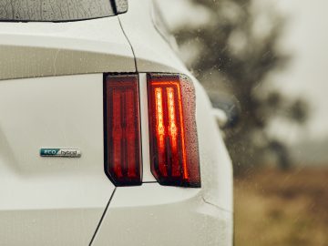 Close-up van het verlichte achterlicht van een witte Kia Sorento Hybrid, met zichtbare regendruppels op het oppervlak en een wazige natuurlijke achtergrond.