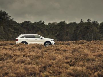 Witte Kia Sorento Hybrid geparkeerd op een veld met bruine heide met een bos op de achtergrond onder een bewolkte hemel.