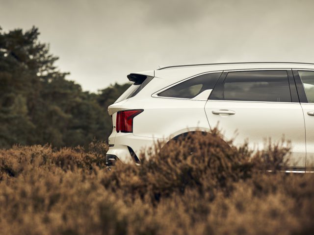 Achteraanzicht van een witte Kia Sorento Hybrid SUV geparkeerd in een veld met hoog gras, omgeven door bomen onder een bewolkte hemel.