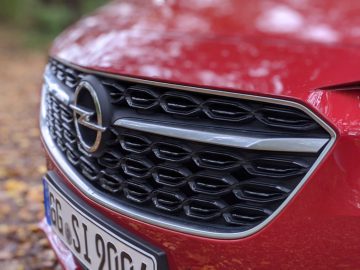 Close-up van de grille en het embleem van een Opel Insignia, met een wazige kentekenplaat en herfstbladeren op de achtergrond.
