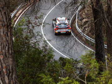 Een Peugeot 208 Rally 4-auto snelt door een scherpe bocht op een bergweg, omgeven door bomen en kreupelhout.