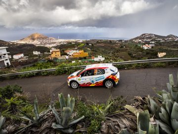Een Peugeot 208 Rally 4 snelt over een schilderachtige bergweg met uitzicht op een vallei met huizen en heuvels, met stormachtige luchten op de achtergrond.