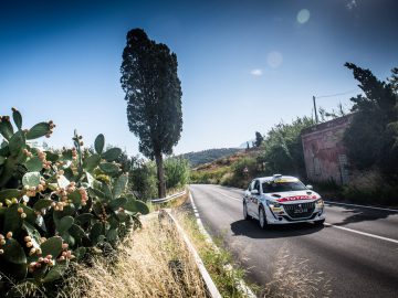 Een Peugeot 208 Rally 4 snelt over een zonovergoten weg geflankeerd door cactussen en hoge bomen onder een helderblauwe lucht.
