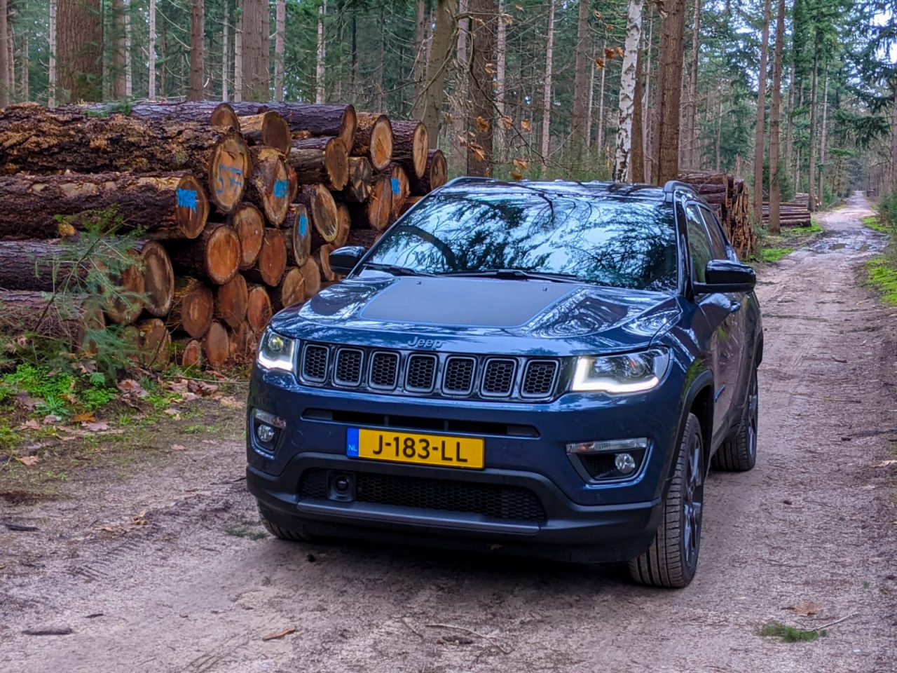 Een Jeep Compass staat geparkeerd op een onverharde weg naast een stapel gekapt bomen in een bos.
