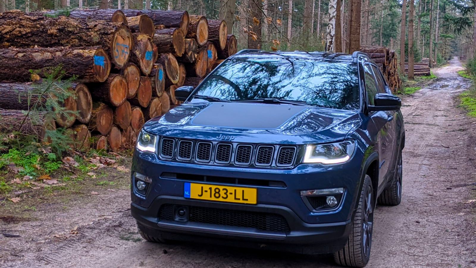 Een Jeep Compass staat geparkeerd op een onverharde weg naast een stapel gekapt bomen in een bos.