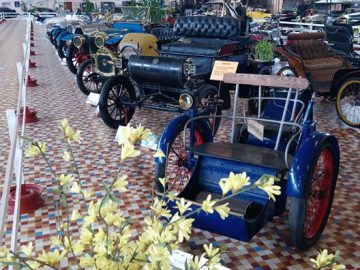 Een grote binnententoonstelling in het Musée Automobile de Vendée toont rijen oldtimers op een tegelvloer, met op de voorgrond een potplant met gele bloemen.