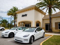 Twee witte Tesla-auto's, geparkeerd voor een Hertz-verhuurkantoor met palmbomen en een heldere hemel op de achtergrond, getuigen van de visie van Elon Musk op duurzaam transport.