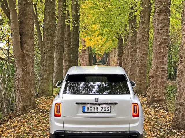 Een witte Rolls-Royce Cullinan Black Badge met het kenteken "R-RR 733" staat geparkeerd op een met bomen omzoomd pad, omgeven door gevallen bladeren.
