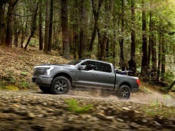 Een grijze Ford F-150 rijdt over een onverharde weg door een bos met aan weerszijden bomen en bladeren.