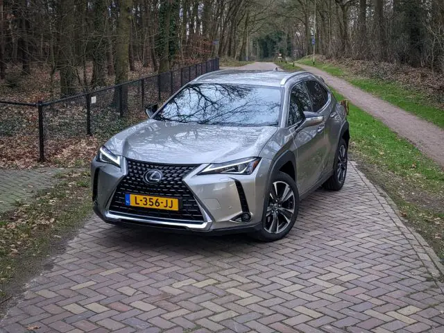 Een zilveren Lexus UX 200 SUV met Nederlands kenteken 